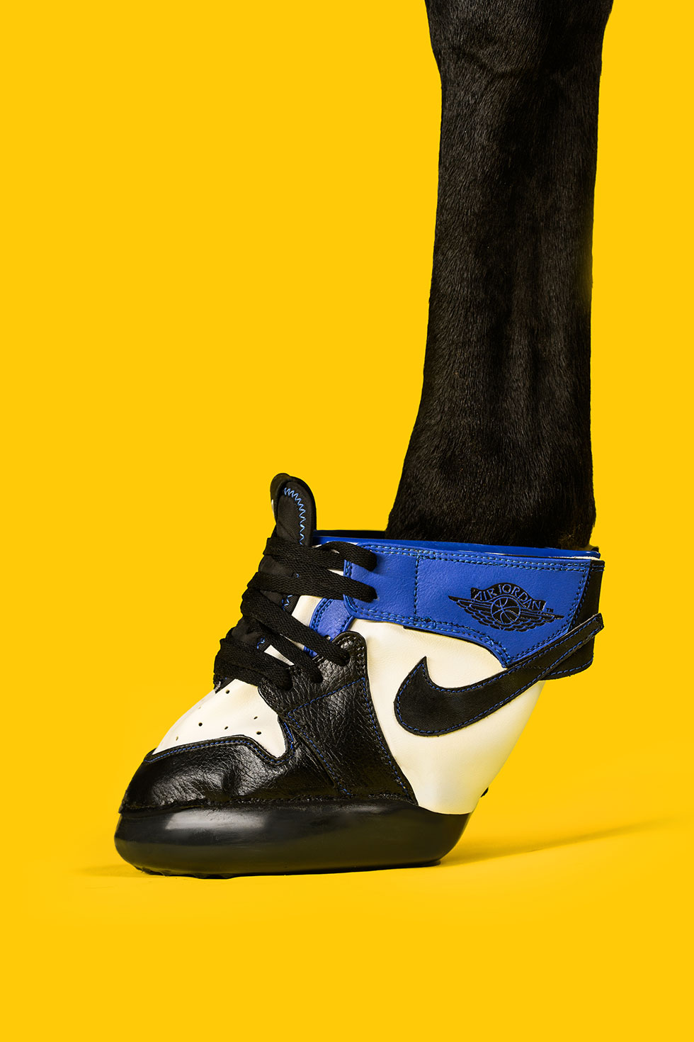 horse kicks