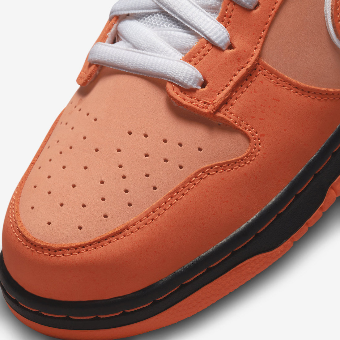 夢回經典！Concepts x Dunk SB Low「橘龍蝦」正式歸來，好料上桌請享用！