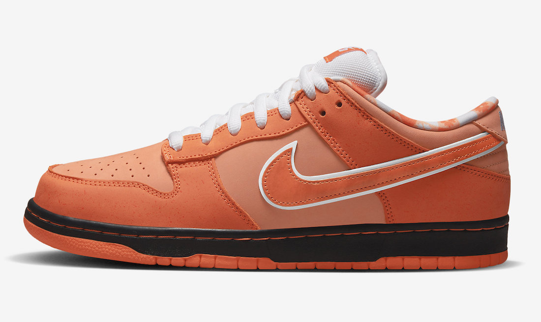concepts x dunk sb