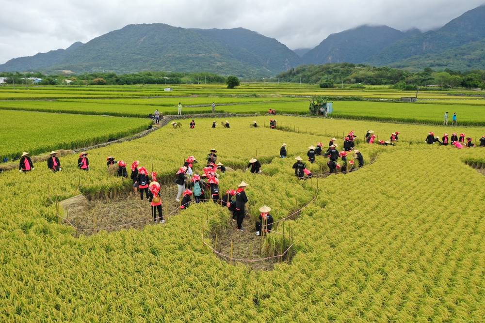 台灣驚見「神秘」麥田圈？PUMA 認養花蓮有機農田，落實在地環境關懷維護！
