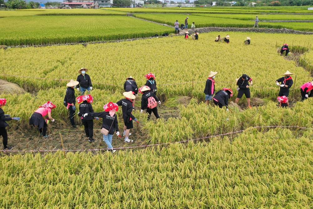 台灣驚見「神秘」麥田圈？PUMA 認養花蓮有機農田，落實在地環境關懷維護！