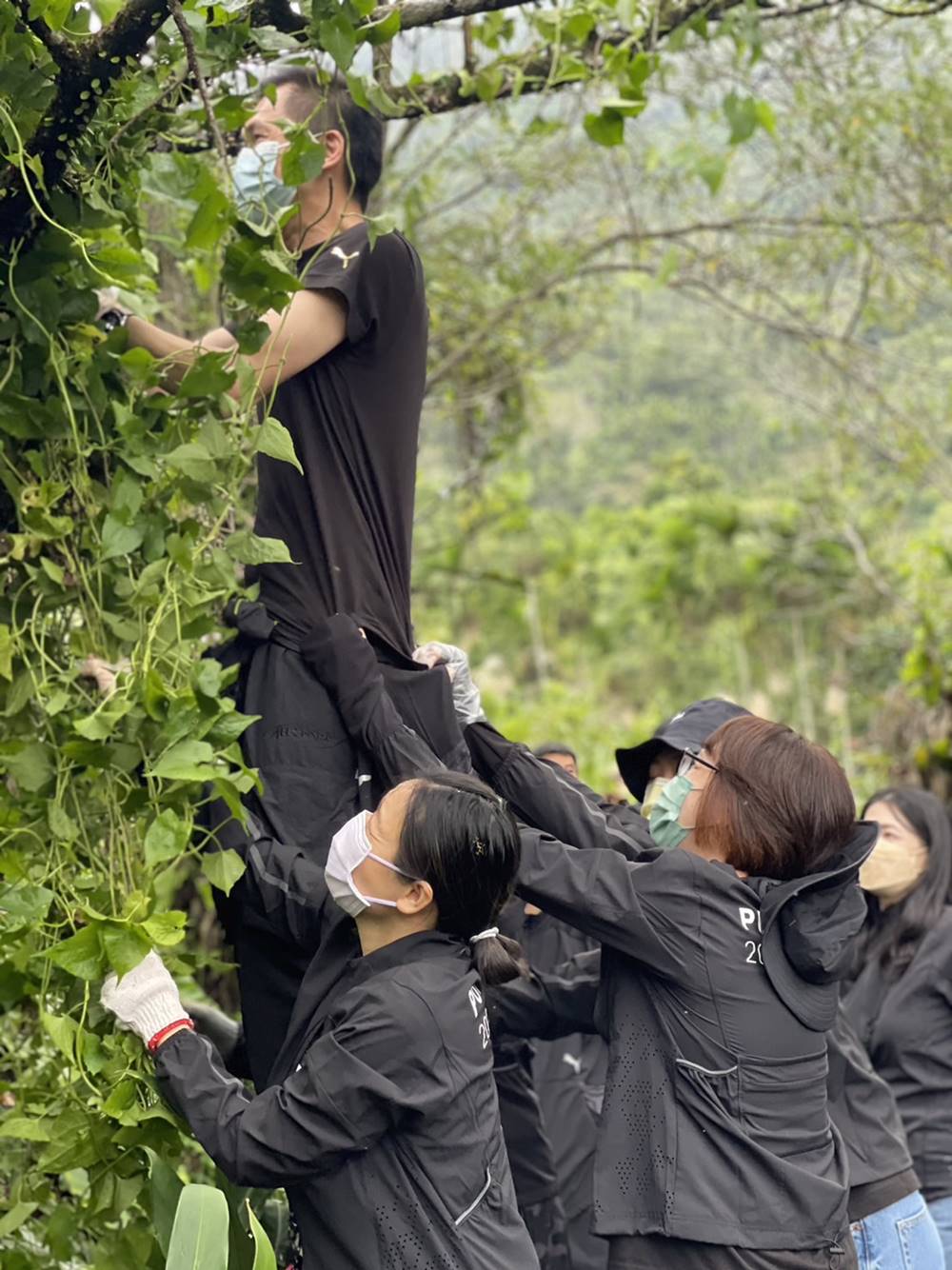 台灣驚見「神秘」麥田圈？PUMA 認養花蓮有機農田，落實在地環境關懷維護！