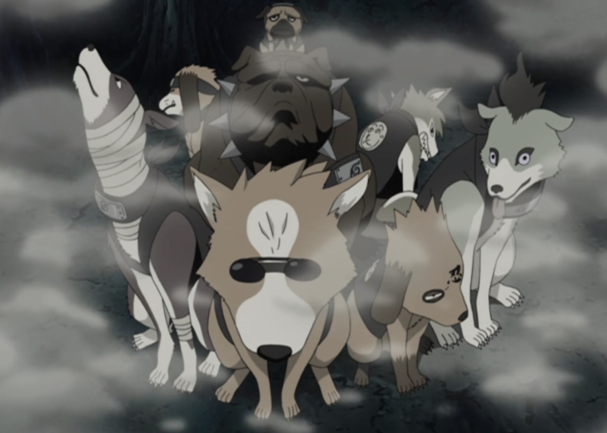 《火影忍者》中卡卡西的通靈獸「八忍犬」