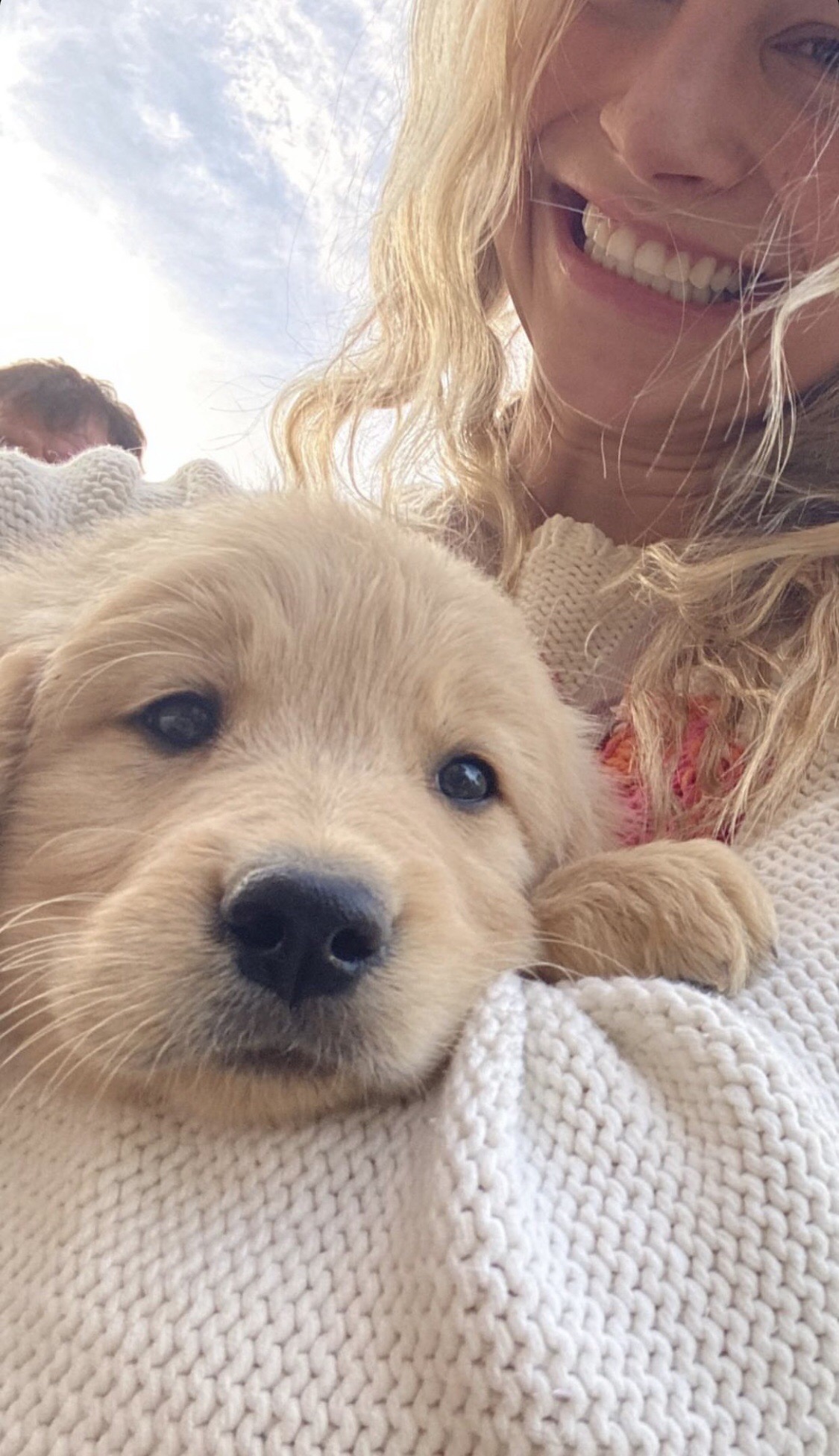 網紅PO影片勸網友「不要買透明餐桌」  原因曝光全網融化：讓我更想買了