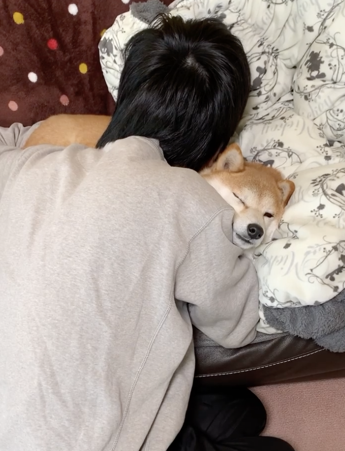 以為是點心…柴柴興奮湊近張嘴「驚覺是顆驅蟲藥」  氣到出拳攻擊：欺騙本柴感情