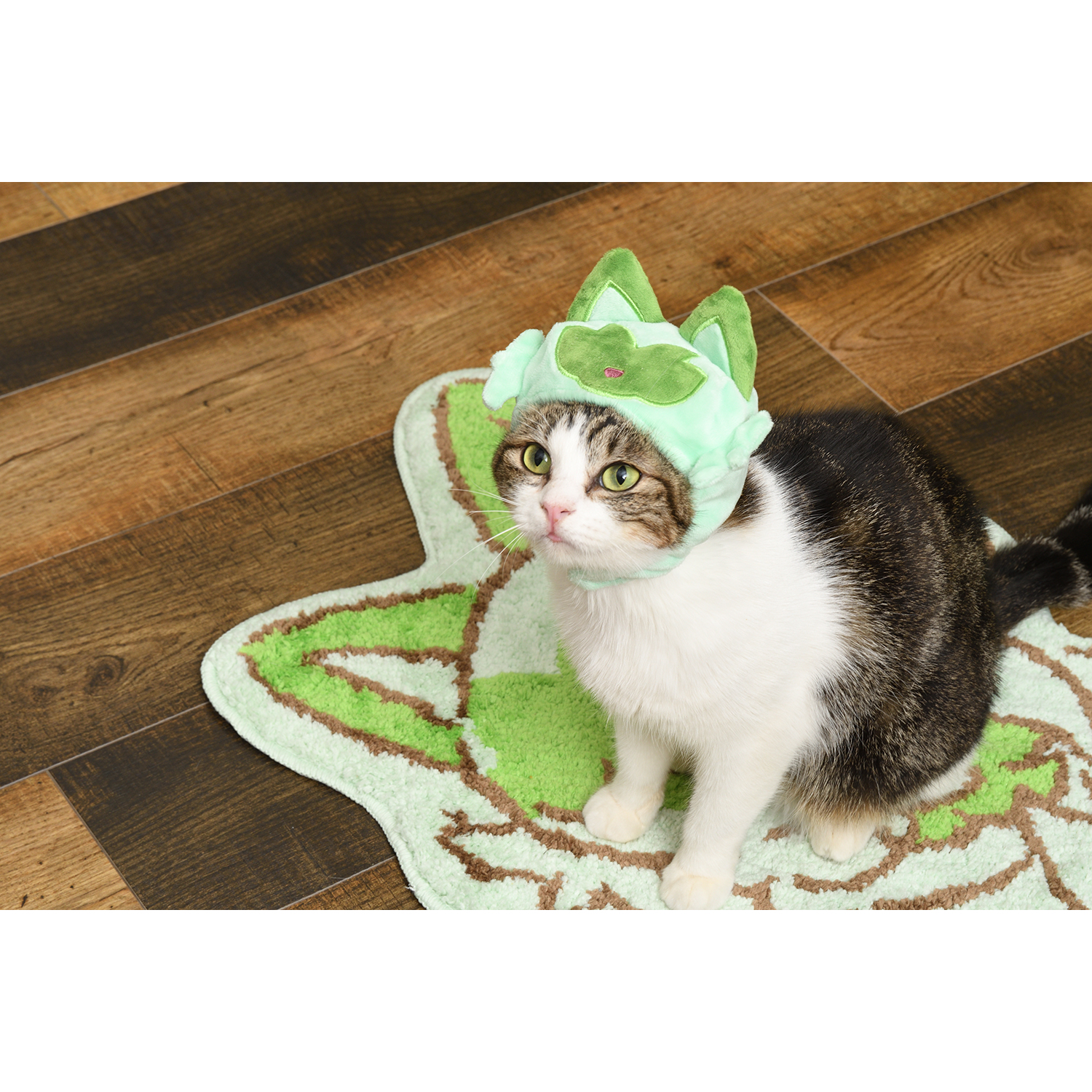 全球最大貓奴上線啦！《寶可夢》推出多款貓貓專用週邊，有夠卡哇伊！