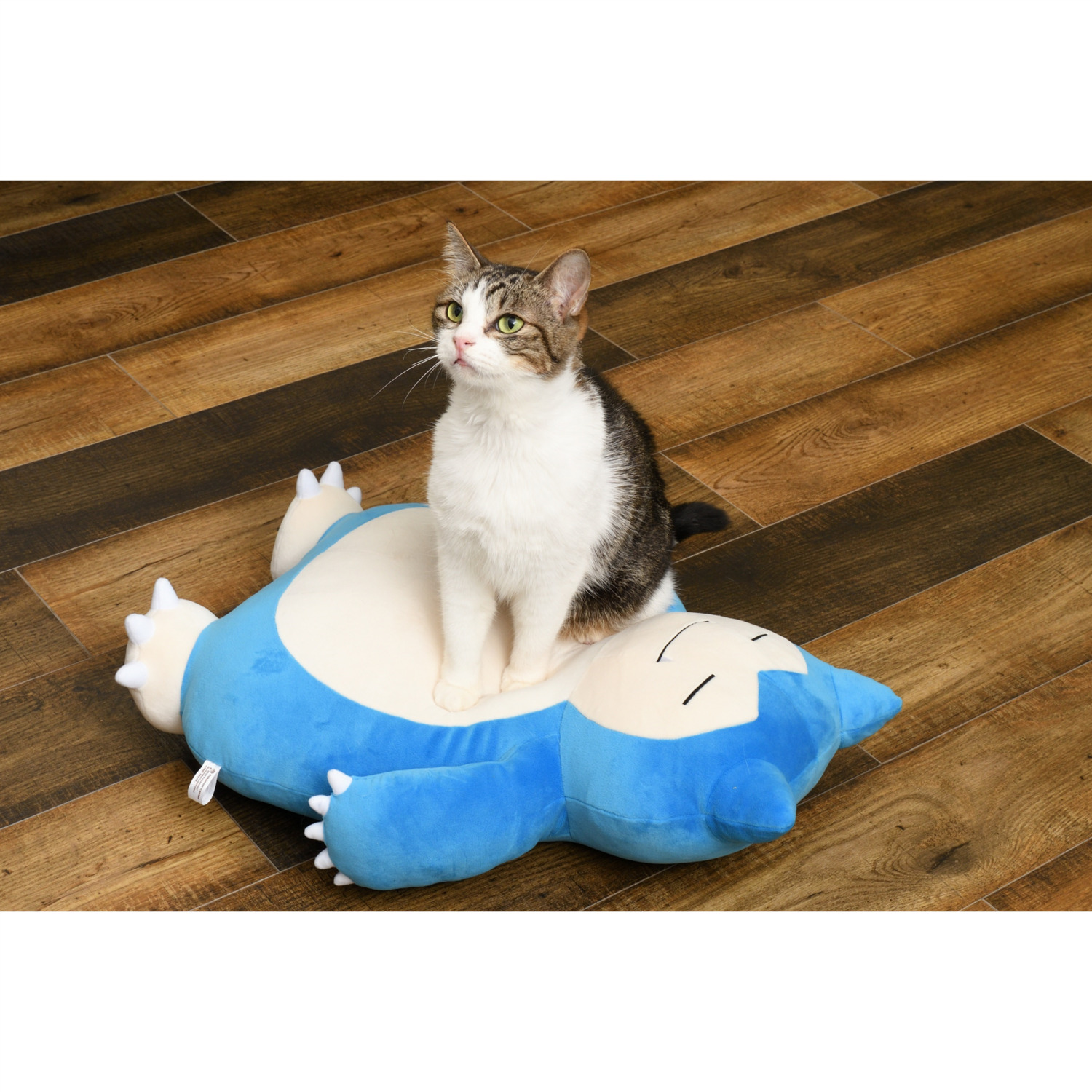 全球最大貓奴上線啦！《寶可夢》推出多款貓貓專用週邊，有夠卡哇伊！