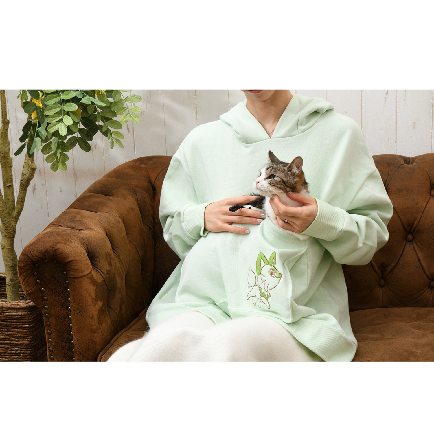 全球最大貓奴上線啦！《寶可夢》推出多款貓貓專用週邊，有夠卡哇伊！