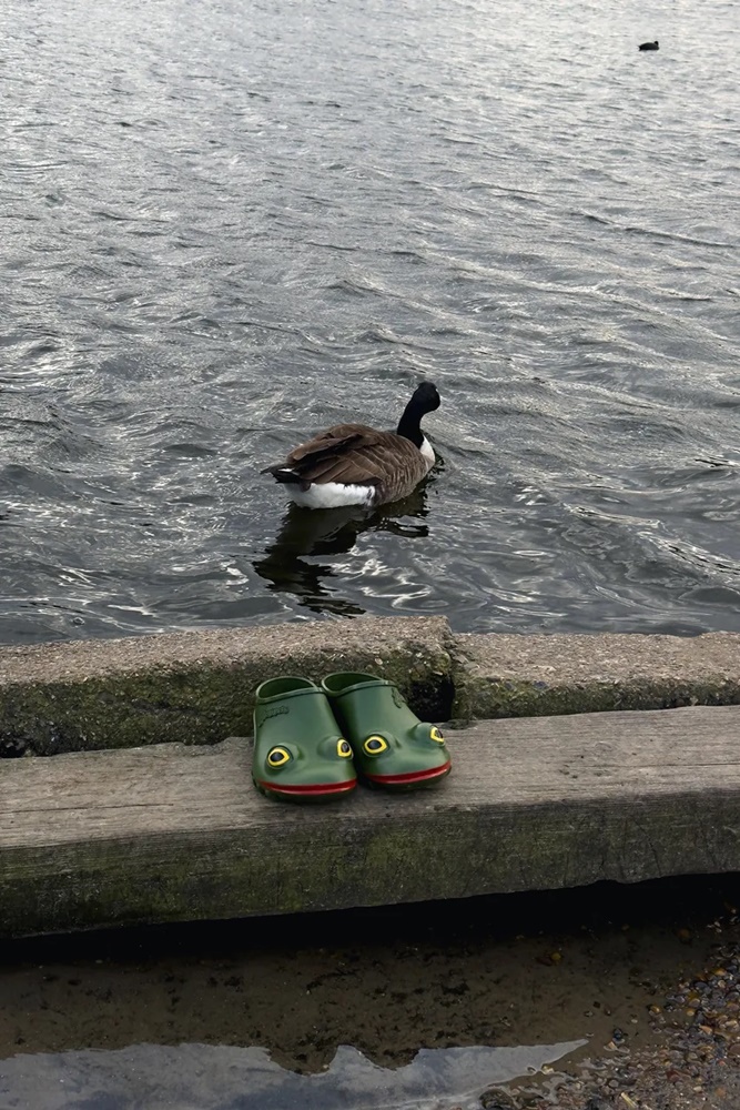 英國皇室竟也愛這隻青蛙？ JW Anderson x Wellipets 聯名「青蛙雨鞋」正式開賣