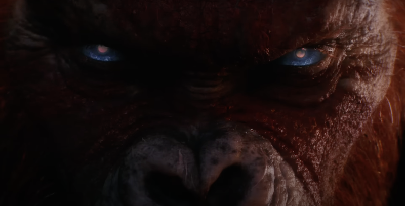 兩大怪獸準備聯手對付新敵人？《哥吉拉大戰金剛》續作預定明年登場！