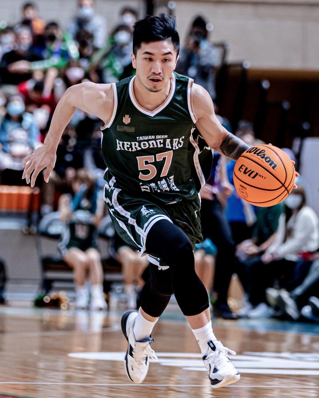 英熊球員將散落各隊？T1 聯盟宣布台新接管台啤參賽權，未來將以台北市為主場！