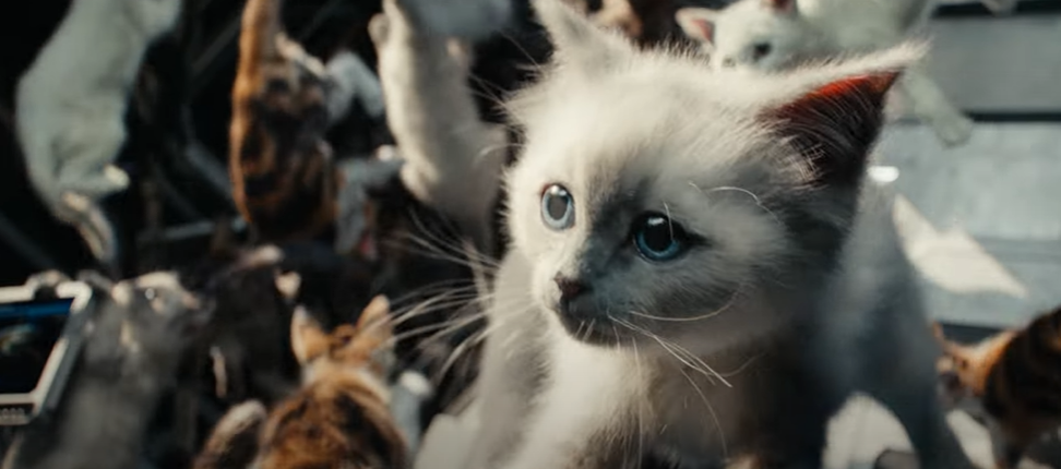 《驚奇隊長 2》正式預告、海報公開！一大票外星貓咪萌翻整部影片