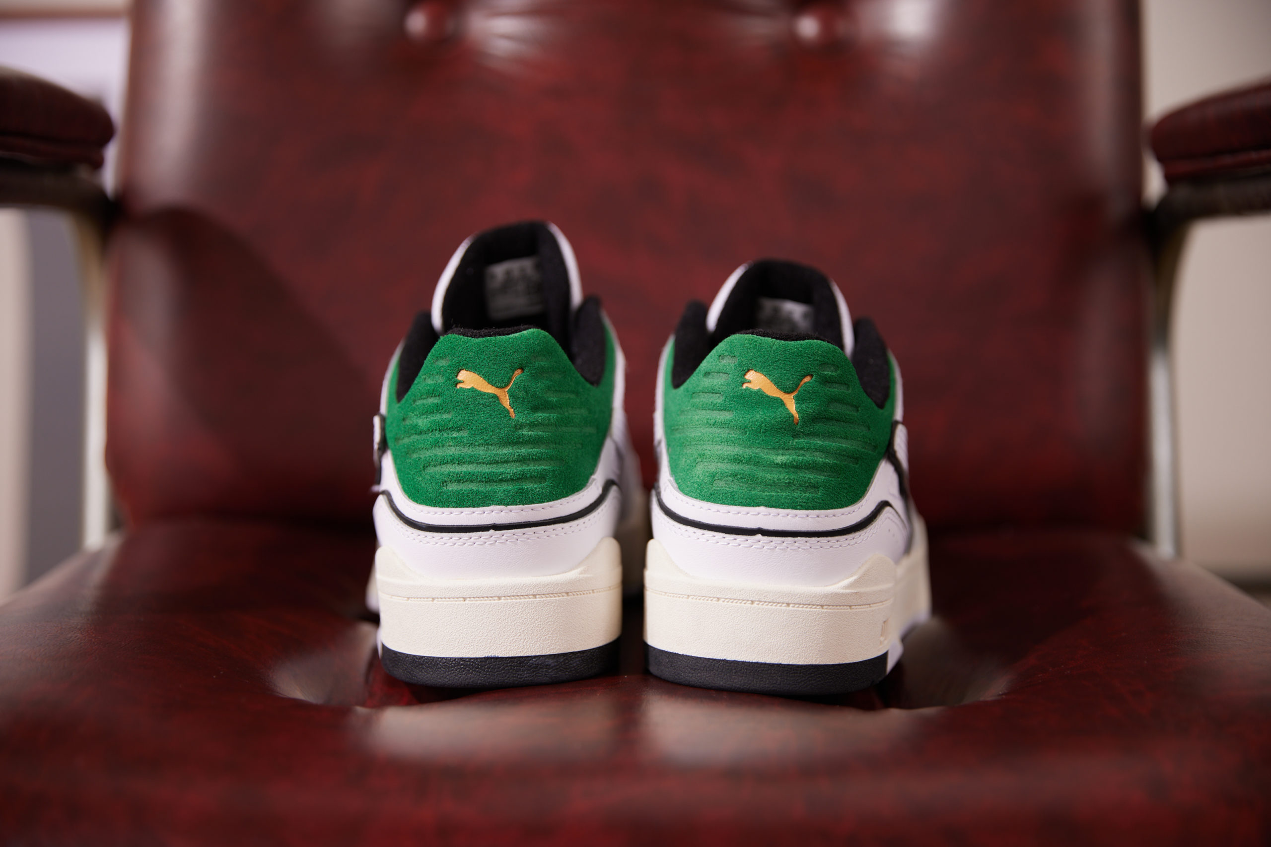 PUMA