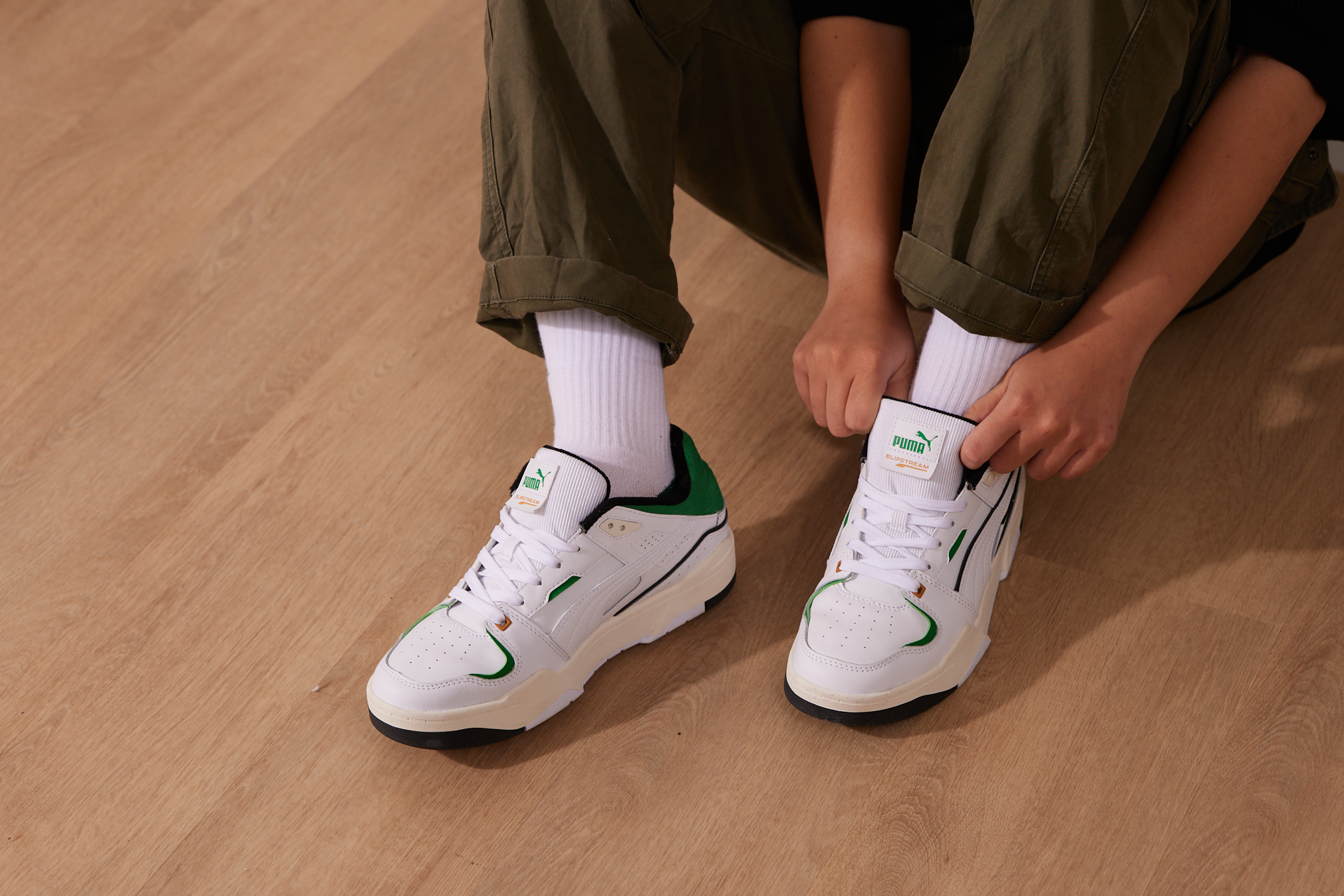 PUMA 2