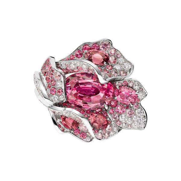 Chaumet 頂級珠寶展登場！「雙金影后」賈靜雯戴的這系列珠寶竟要價上億元！