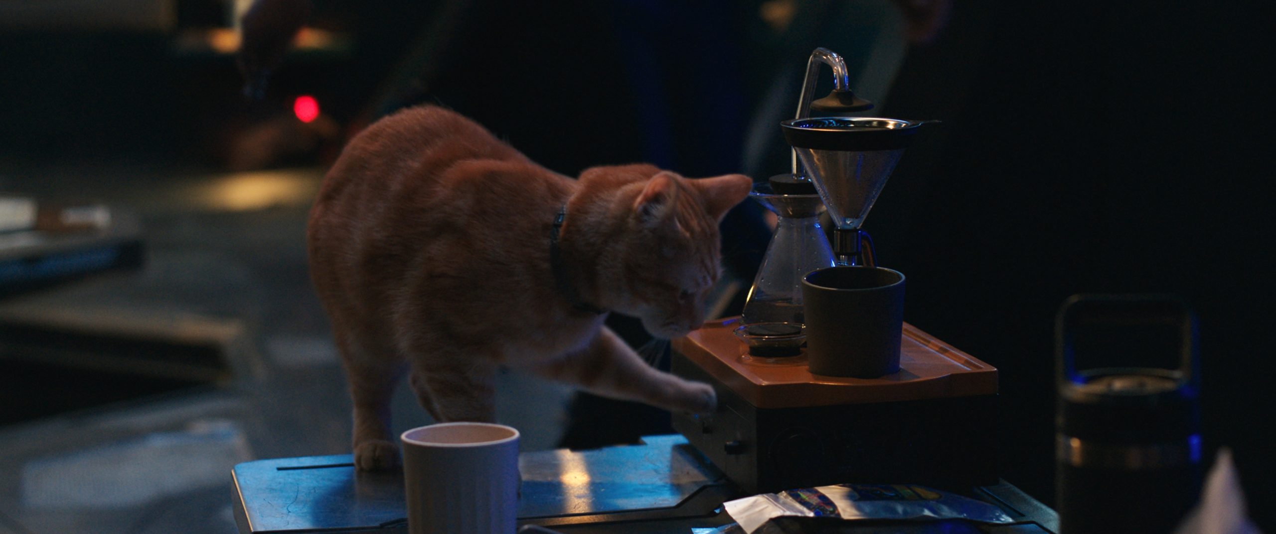 之前是假消息！《驚奇隊長 2》真實預算是 2.748 億美元！位列漫威電影史上第四