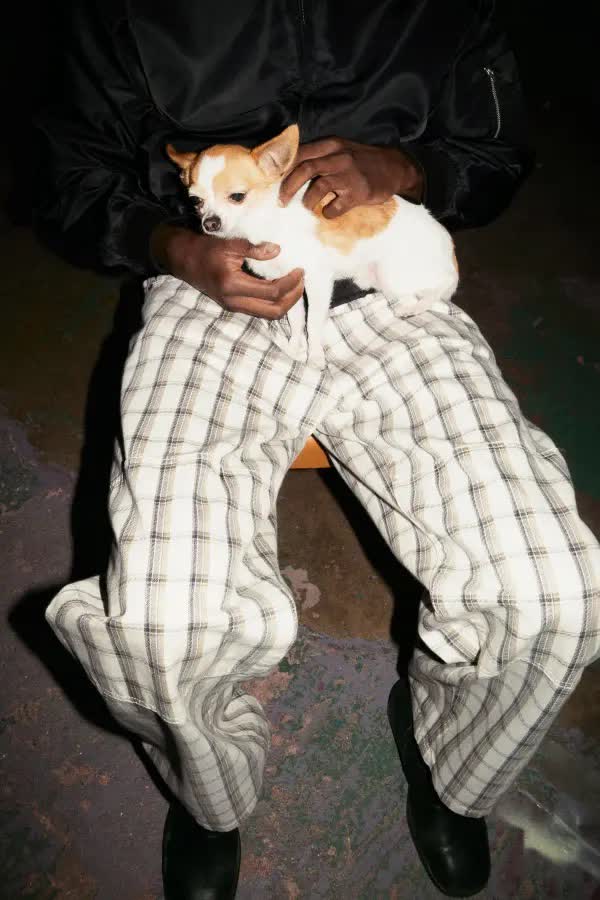 設計給幾分？Supreme x Dickies 最新聯名單品全公開，哪件你最想衝？