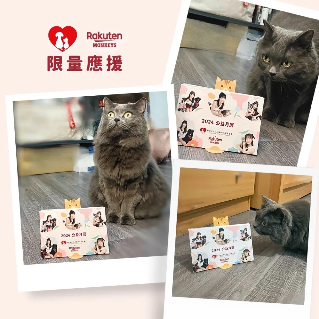 籃籃、嘎琳…啦啦隊女神應援！樂天女孩 x 2024 浪浪毛孩公益月曆，限量 5 千份捐款即送！