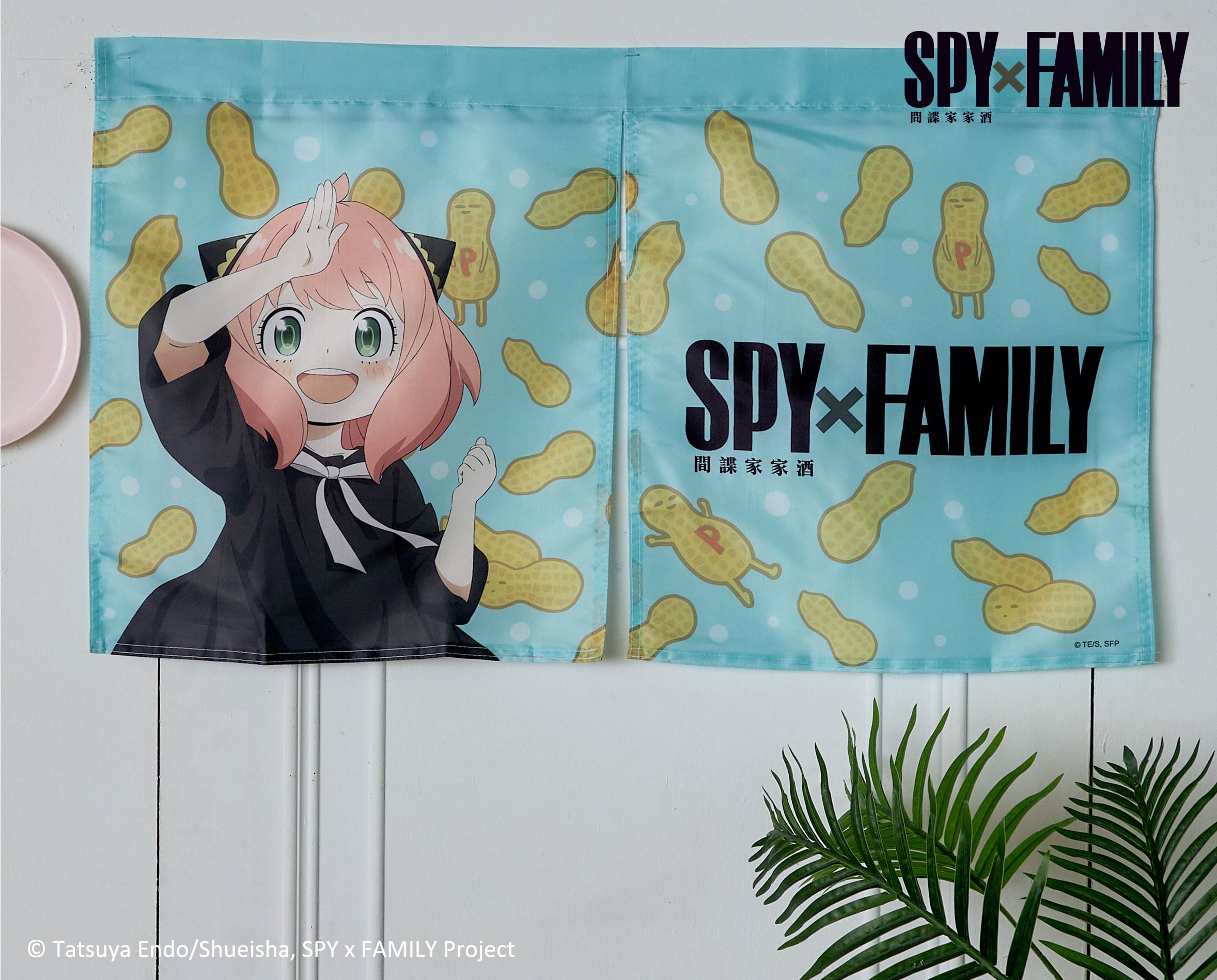 挖苦挖苦！《SPY×FAMILY間諜家家酒》快閃店正式登陸台中草悟廣場！