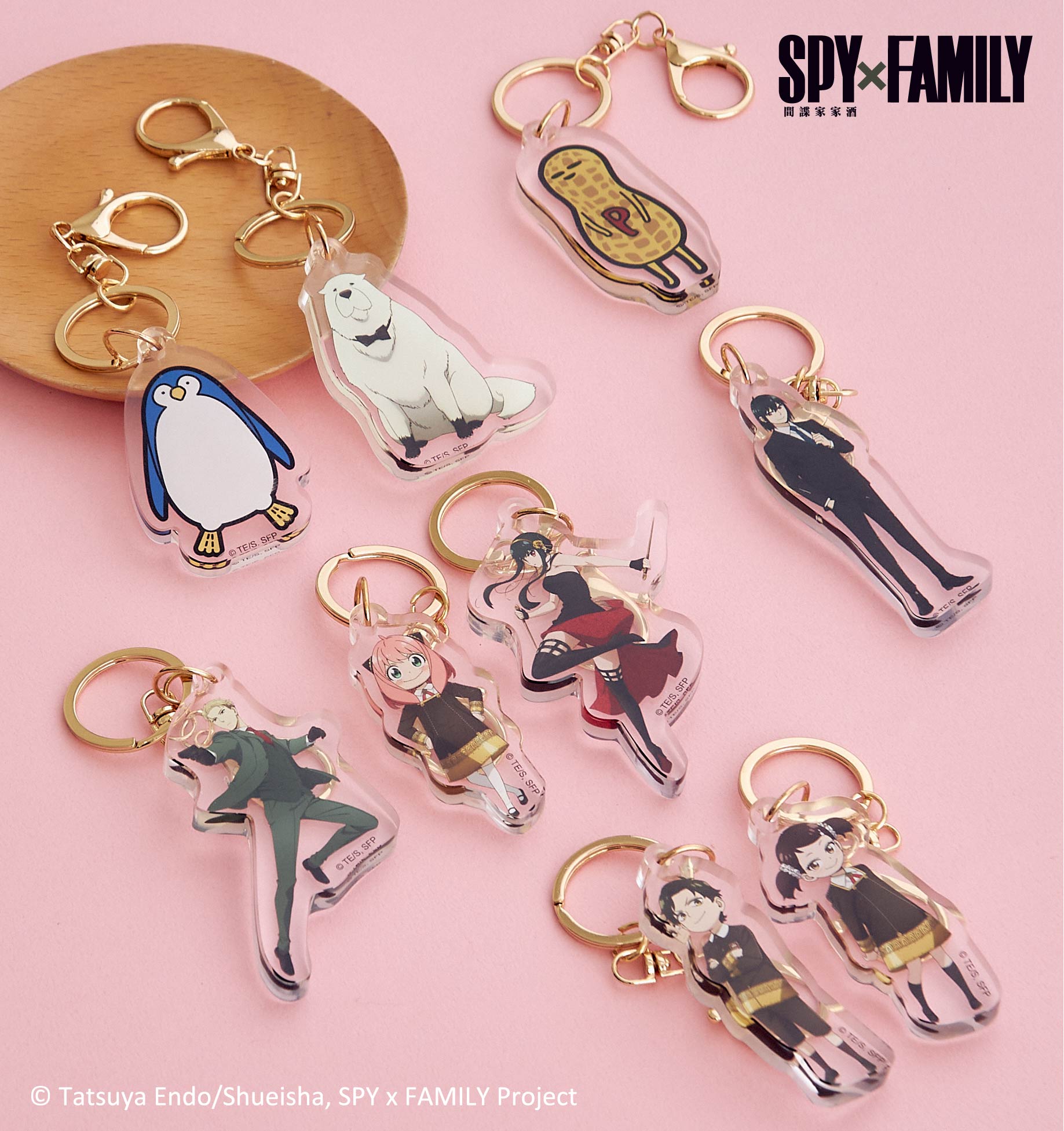 挖苦挖苦！《SPY×FAMILY間諜家家酒》快閃店正式登陸台中草悟廣場！