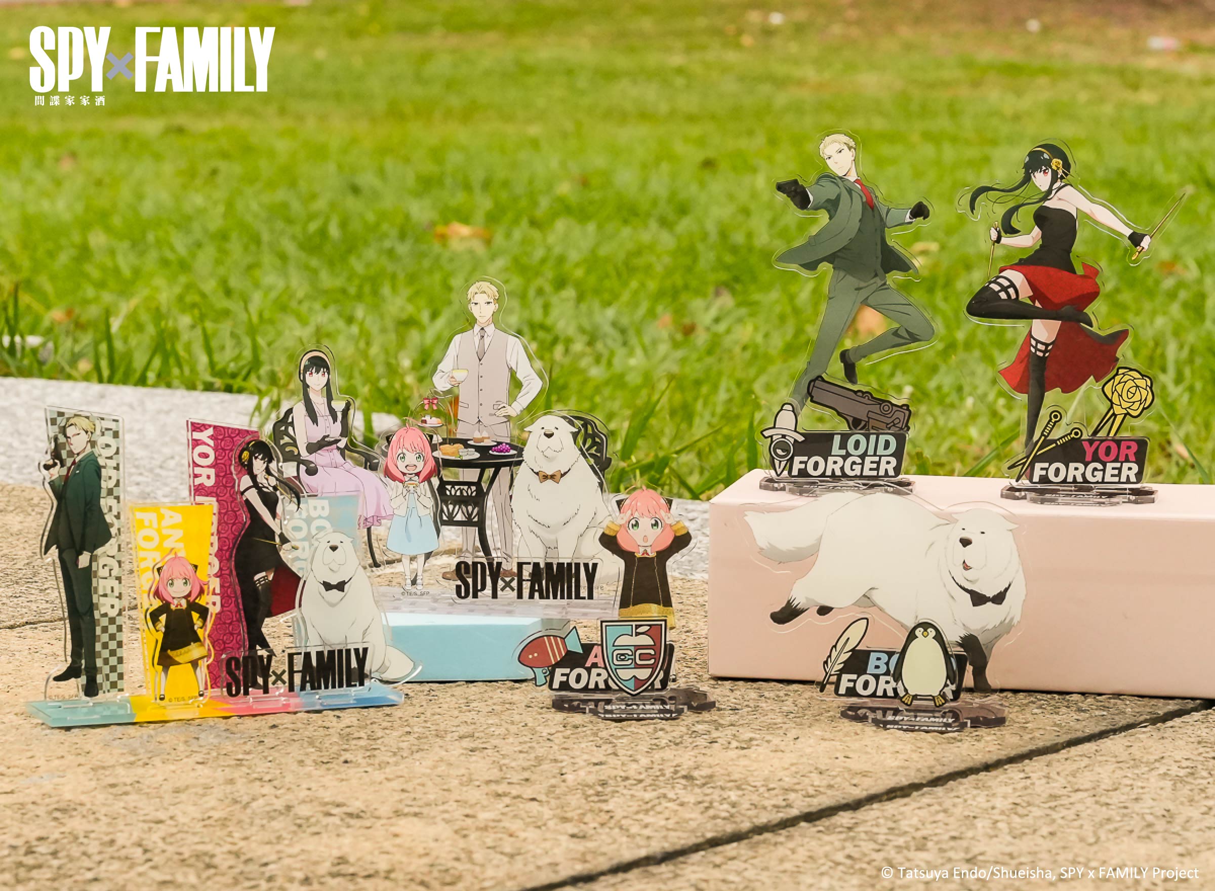 安妮亞喜歡這個！《SPY×FAMILY間諜家家酒》樂園、快閃店下週正式進駐高雄！