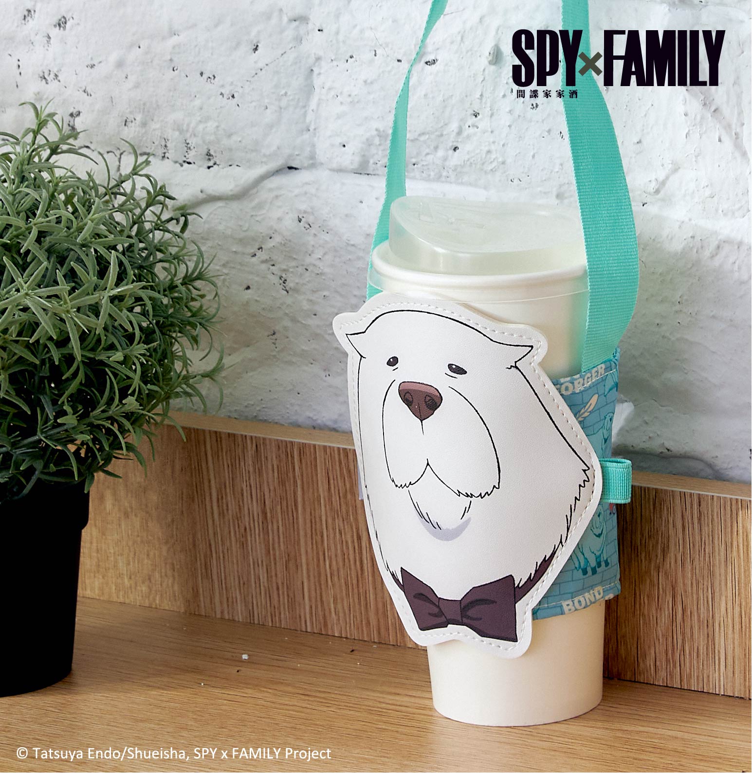 安妮亞喜歡這個！《SPY×FAMILY間諜家家酒》樂園、快閃店下週正式進駐高雄！