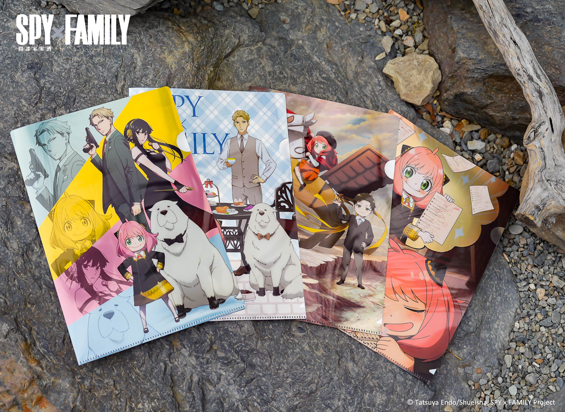 安妮亞喜歡這個！《SPY×FAMILY間諜家家酒》樂園、快閃店下週正式進駐高雄！