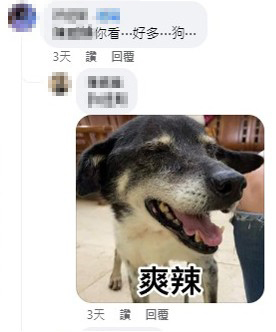 狗勾梗圖藏催淚故事？全網齊喊「浪我來！」