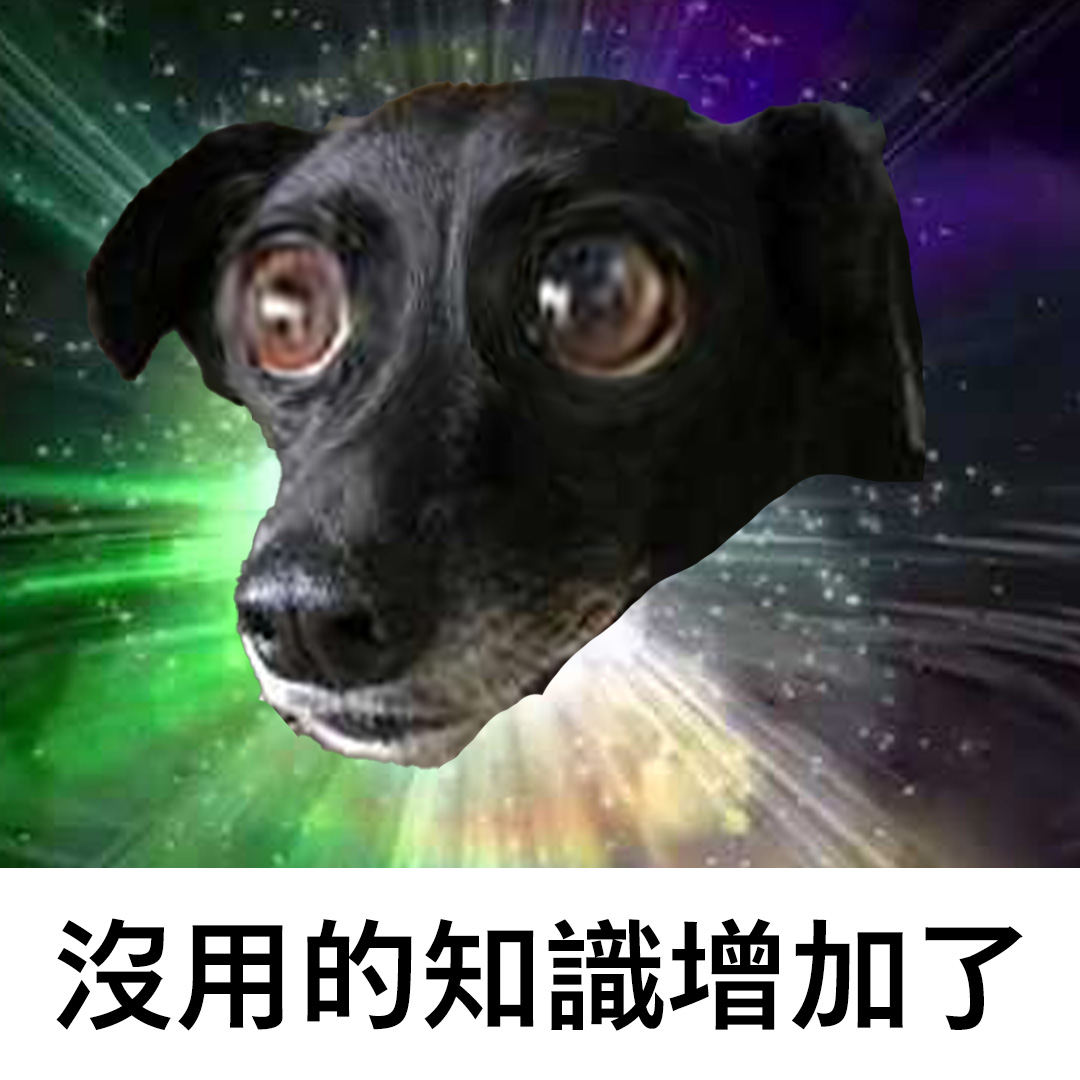 狗勾梗圖藏催淚故事？全網齊喊「浪我來！」