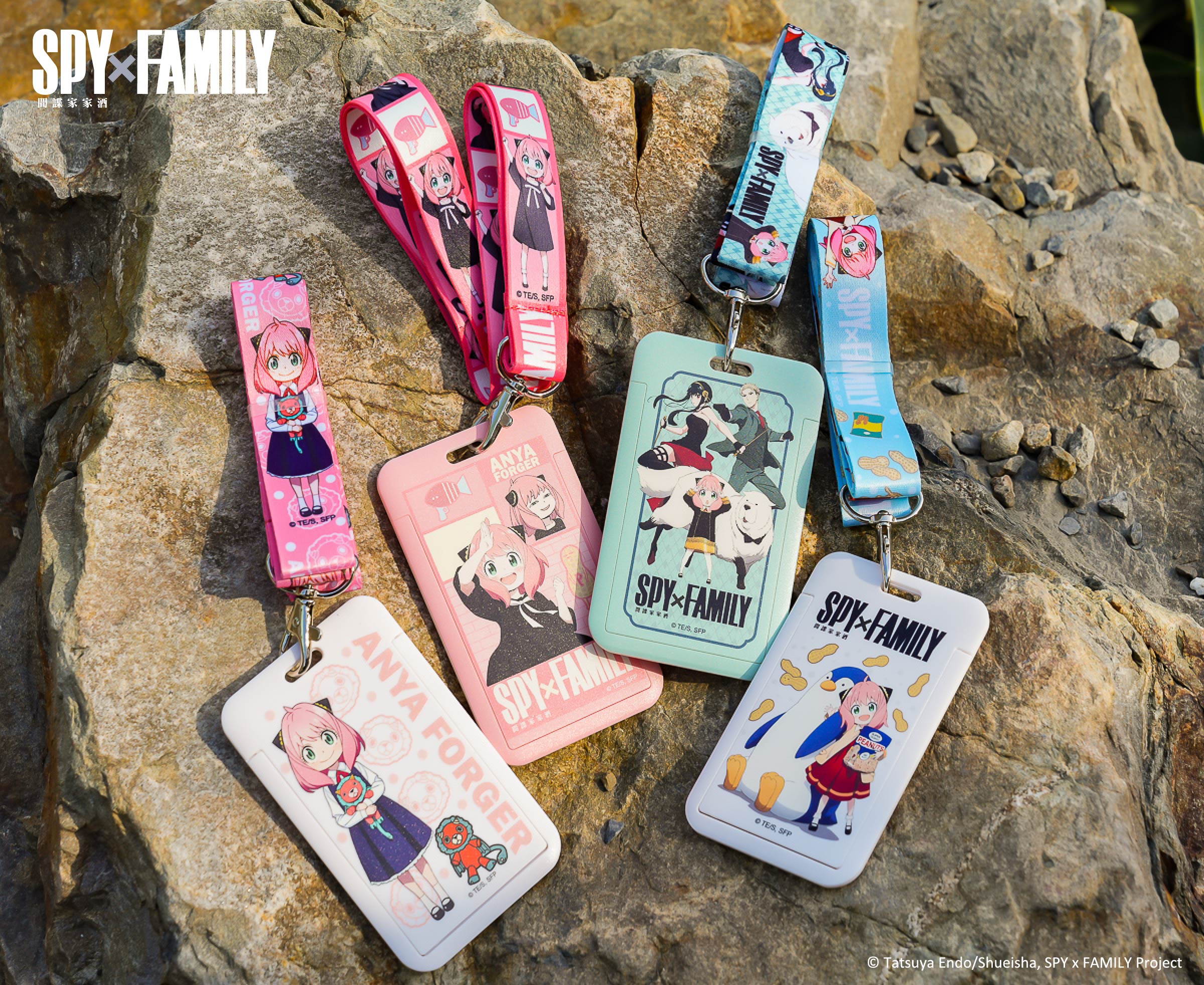 安妮亞喜歡這個！《SPY×FAMILY間諜家家酒》樂園、快閃店下週正式進駐高雄！
