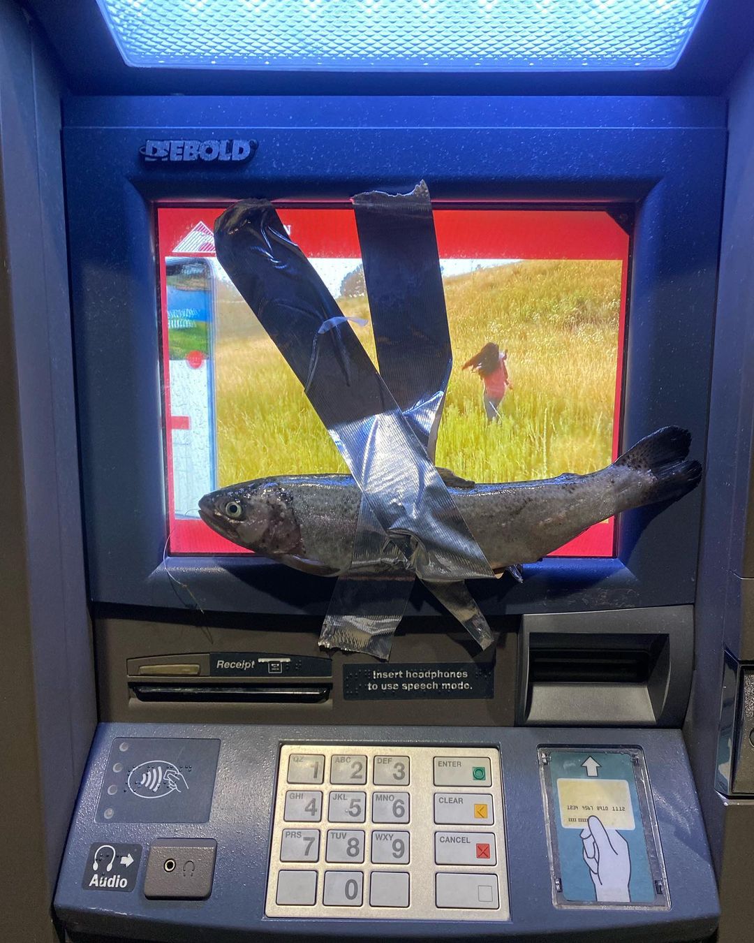 竟有 6 萬多粉絲？ 17 歲少年「把魚到處貼在 ATM 上」，遭警方逮捕辯稱：過程沒有任何魚受傷！