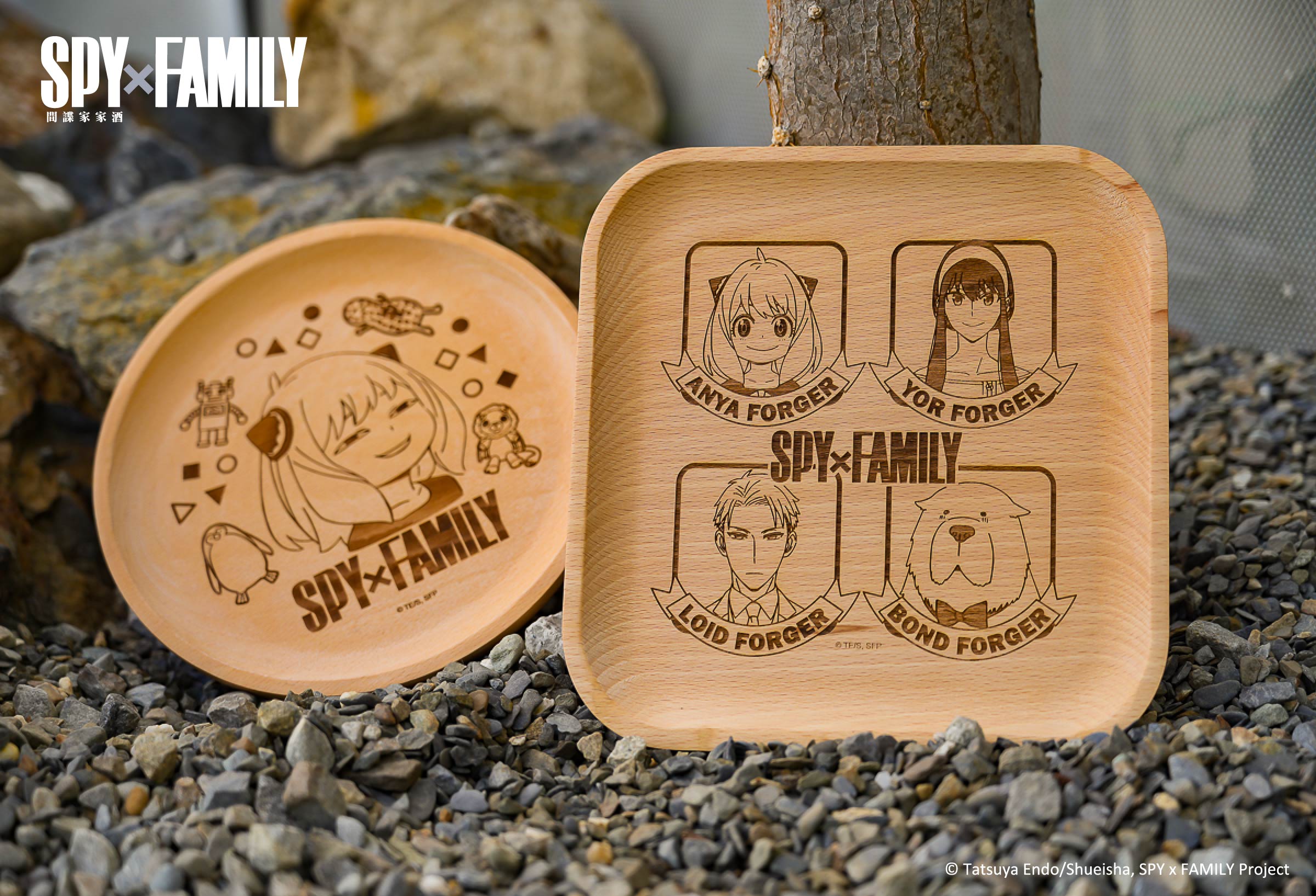 安妮亞喜歡這個！《SPY×FAMILY間諜家家酒》樂園、快閃店下週正式進駐高雄！