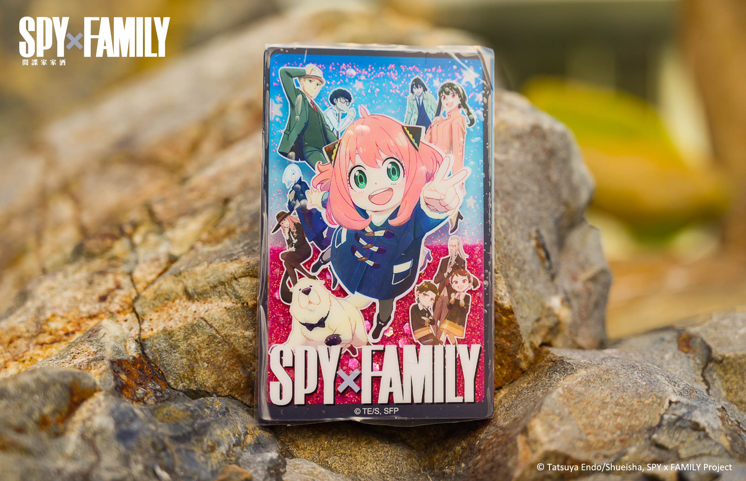 安妮亞喜歡這個！《SPY×FAMILY間諜家家酒》樂園、快閃店下週正式進駐高雄！