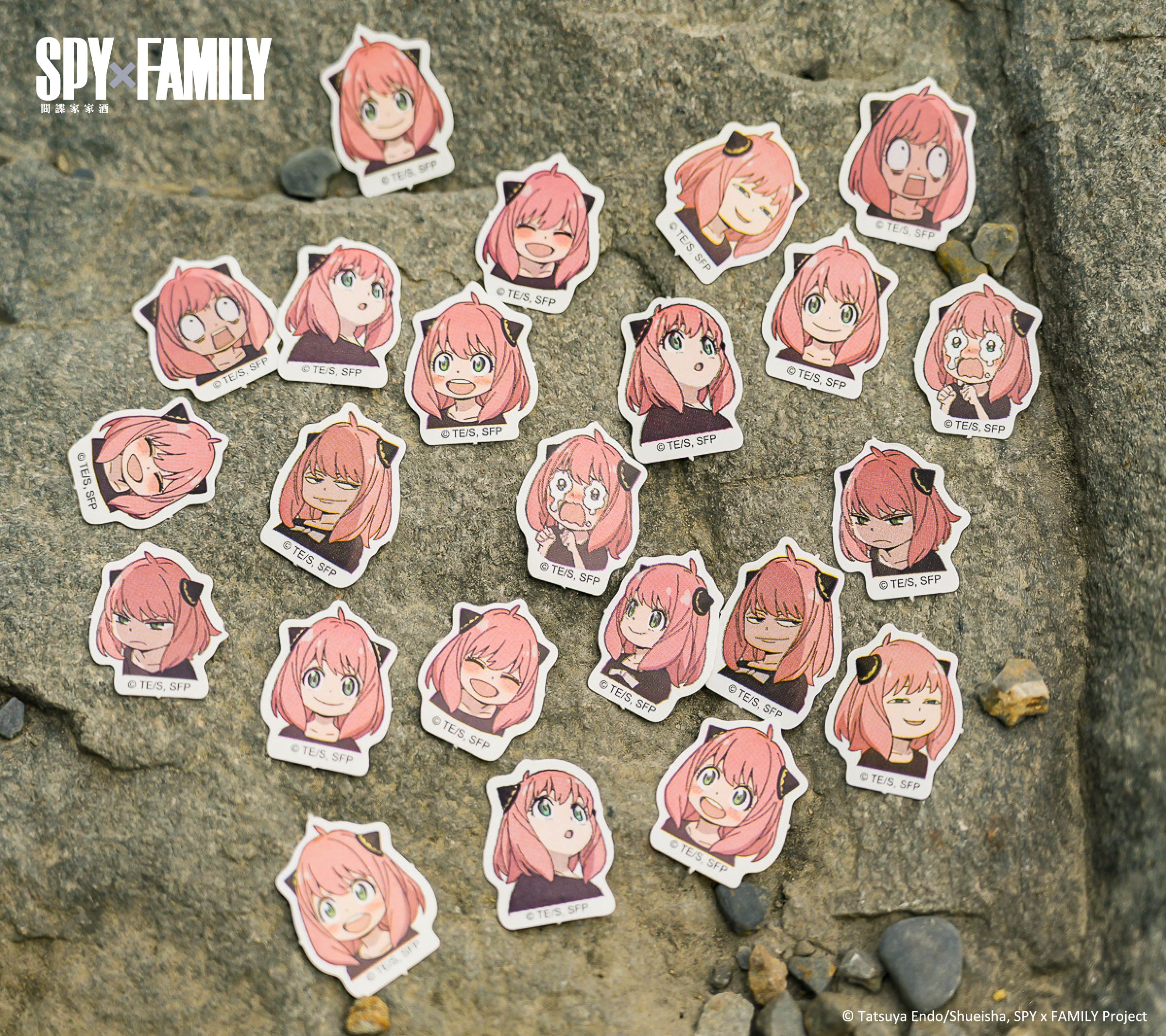 安妮亞喜歡這個！《SPY×FAMILY間諜家家酒》樂園、快閃店下週正式進駐高雄！