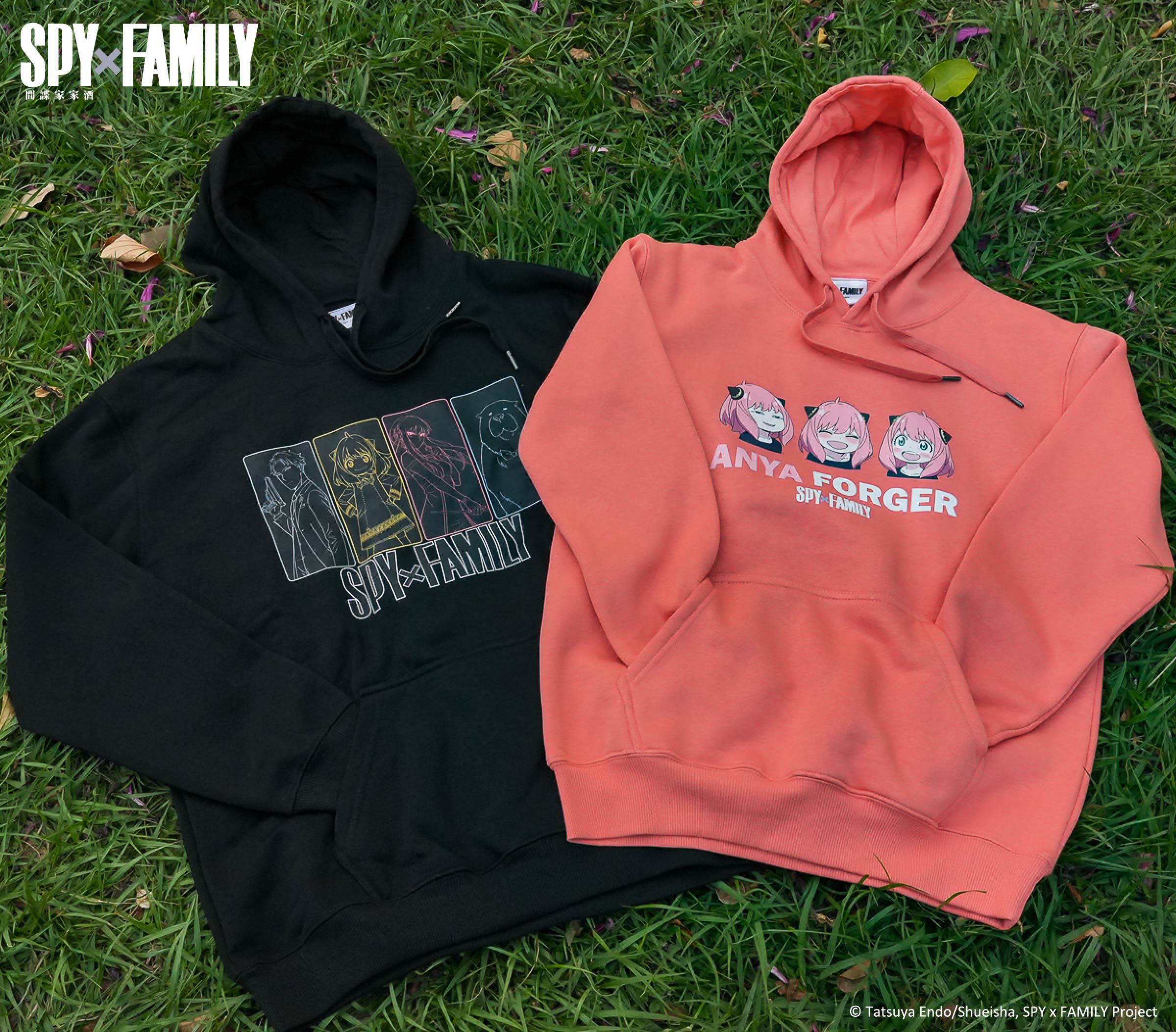 安妮亞喜歡這個！《SPY×FAMILY間諜家家酒》樂園、快閃店下週正式進駐高雄！