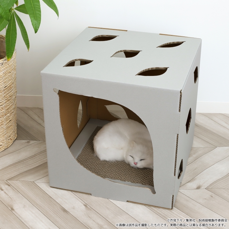五條悟傻眼！《咒術迴戰》官方推「獄門疆-寵物貓屋」，這次要把毛小孩封印！