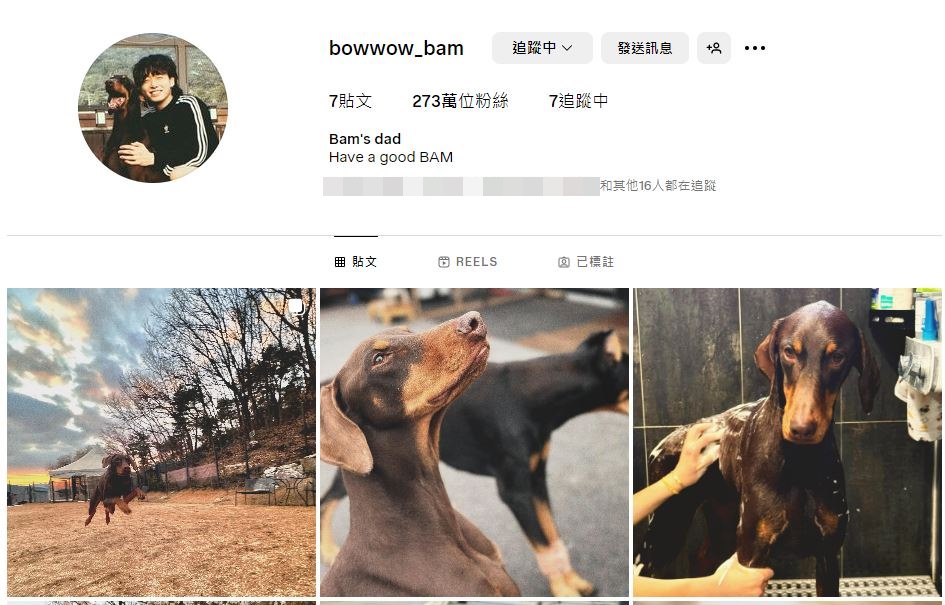 BTS 柾國親自宣布已經幫愛犬 Bam 創立新帳號。（圖：IG）