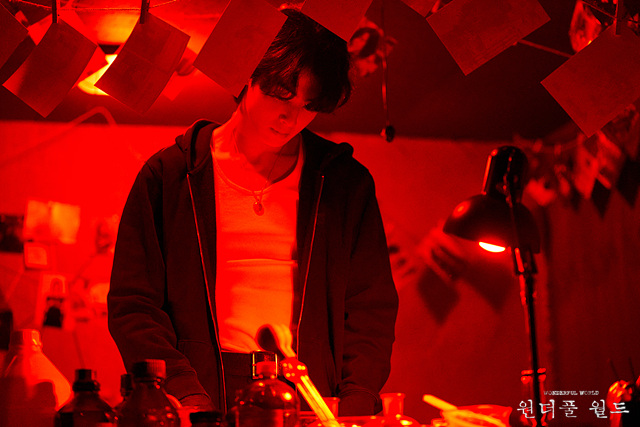 網友推薦 2024 Disney+ 必追韓劇片單！《搜查班長 1958》經典再改製引討論！《支配物種》創新世界觀超新穎！