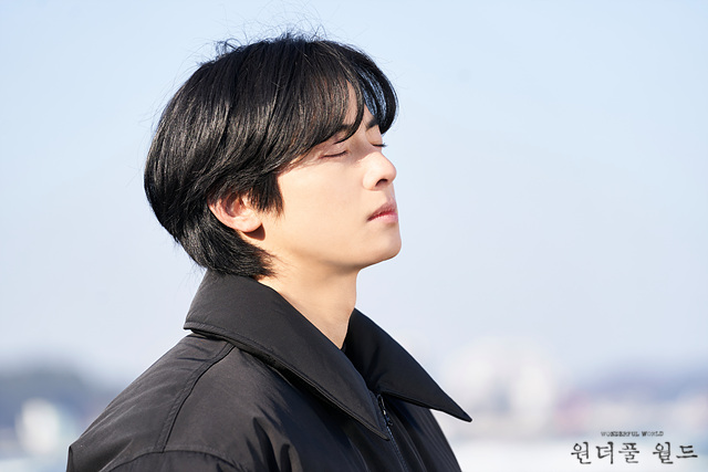 網友推薦 2024 Disney+ 必追韓劇片單！《搜查班長 1958》經典再改製引討論！《支配物種》創新世界觀超新穎！