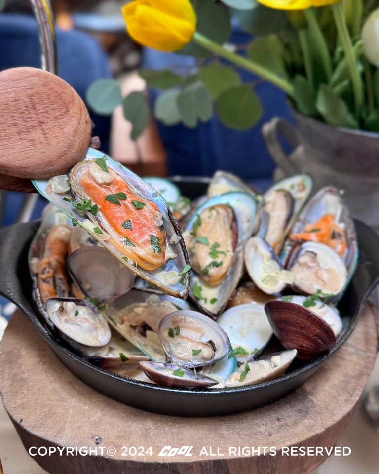 2024巴黎奧運來這看！金色三麥推法式風味「冠軍應援料理」中華隊加油奪牌免費招待喝一杯