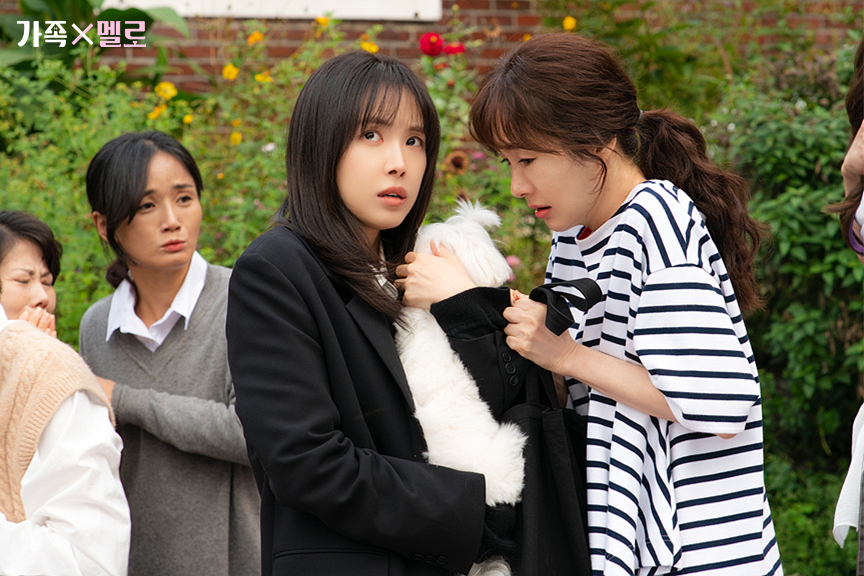 看過爆好評！整理近期「首播收視爆火」韓劇！《浪漫這一家》、《好搭檔》口碑越來越高！