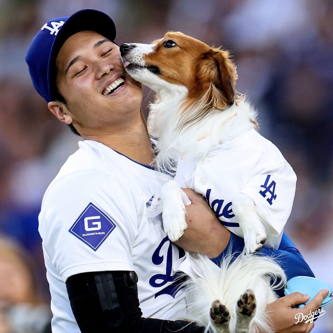 與愛犬開球萌翻網友！大谷翔平首打席開轟，「42 轟 42 盜」締造超狂紀錄！