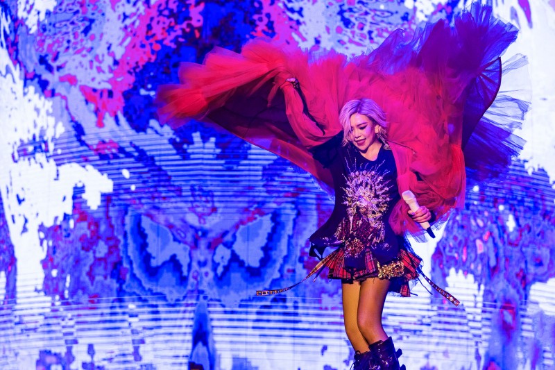 無敵寵粉！張惠妹本週登大巨蛋開唱！送進場粉絲「大禮包」豐富內容物曝光！