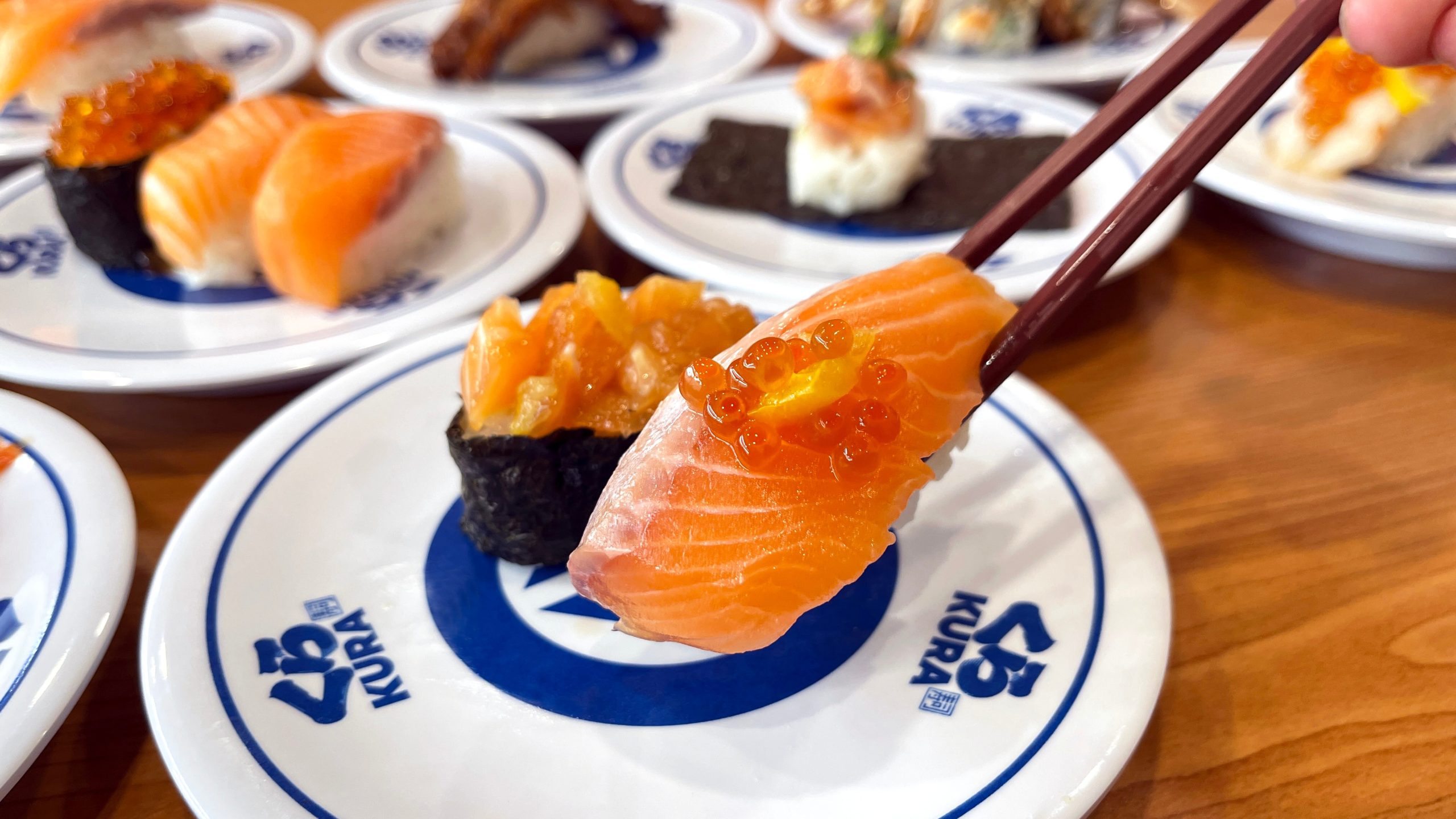 藏壽司鮭魚季