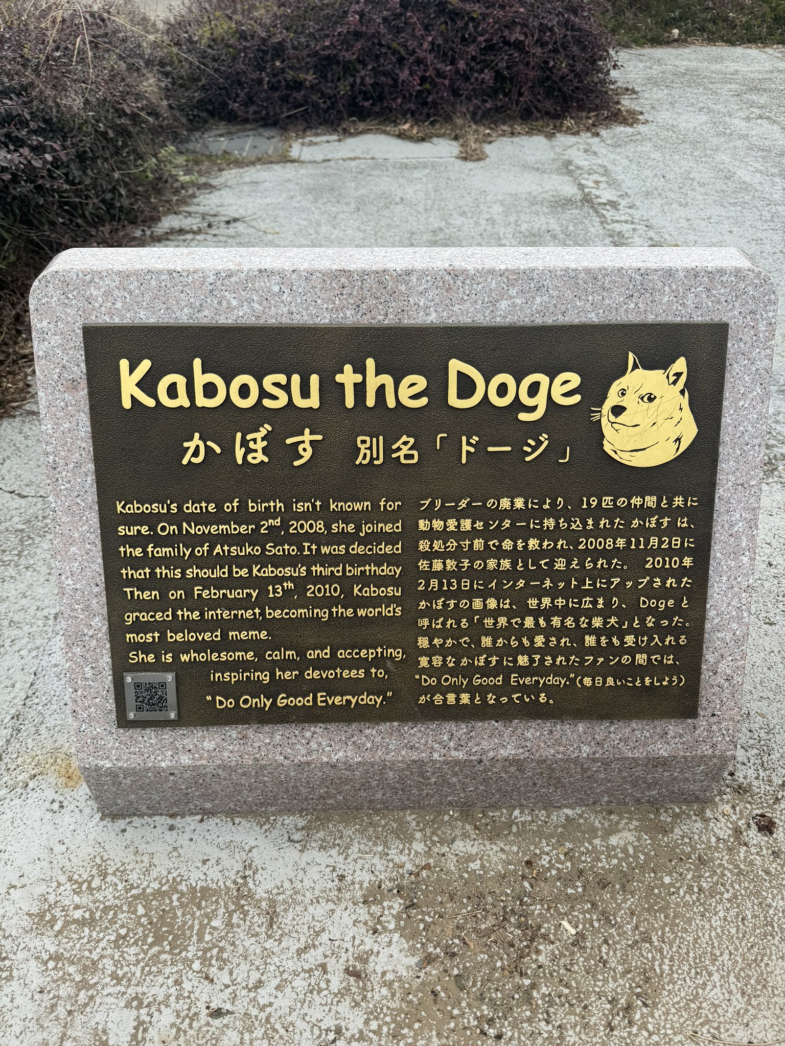 2025 日本新景點推薦「迷因柴犬Doge紀念碑」荷蘭風車＋花海環繞，專屬人孔蓋紀念卡必收藏