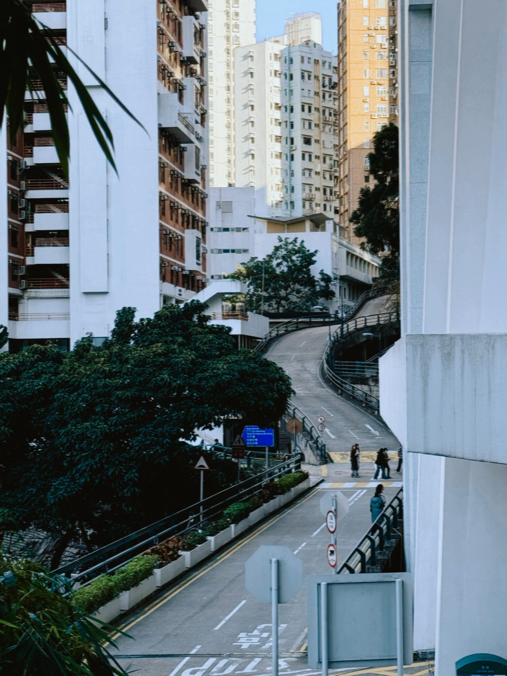 不只迪士尼好拍！小編香港拍照口袋名單大公開  拍出大片感的終極指南！
