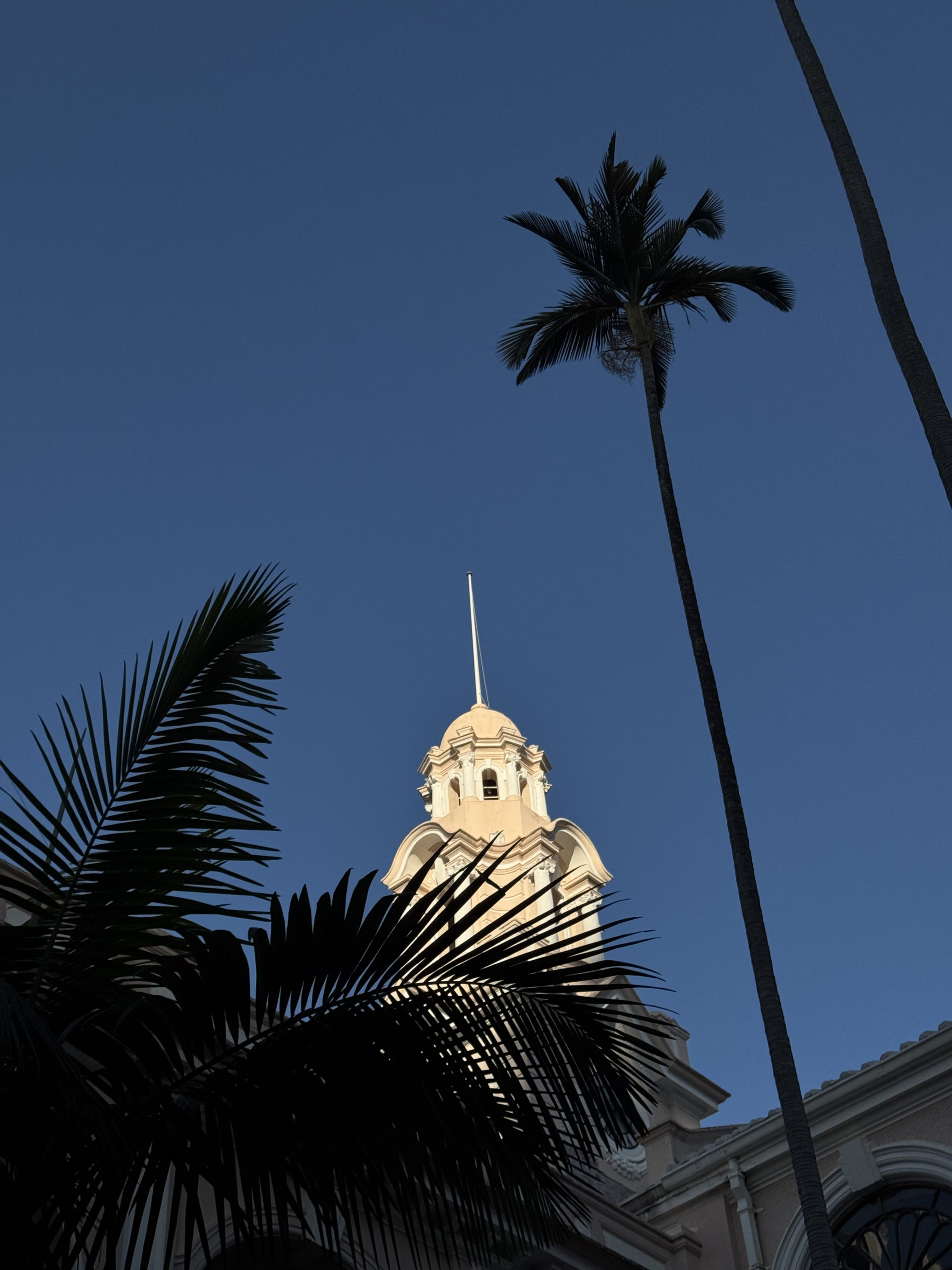 不只迪士尼好拍！小編香港拍照口袋名單大公開  拍出大片感的終極指南！