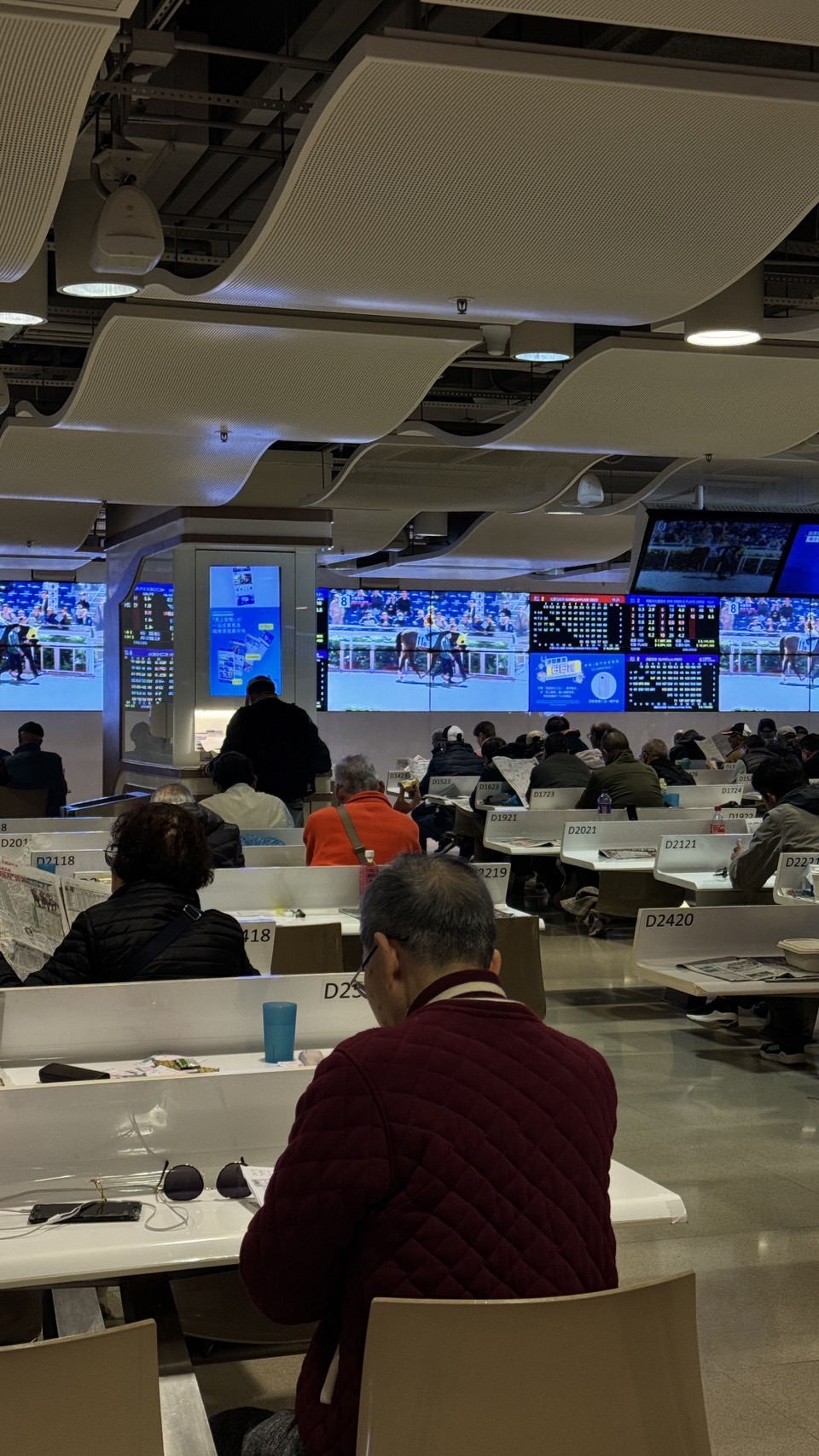 不只迪士尼好拍！小編香港拍照口袋名單大公開  拍出大片感的終極指南！