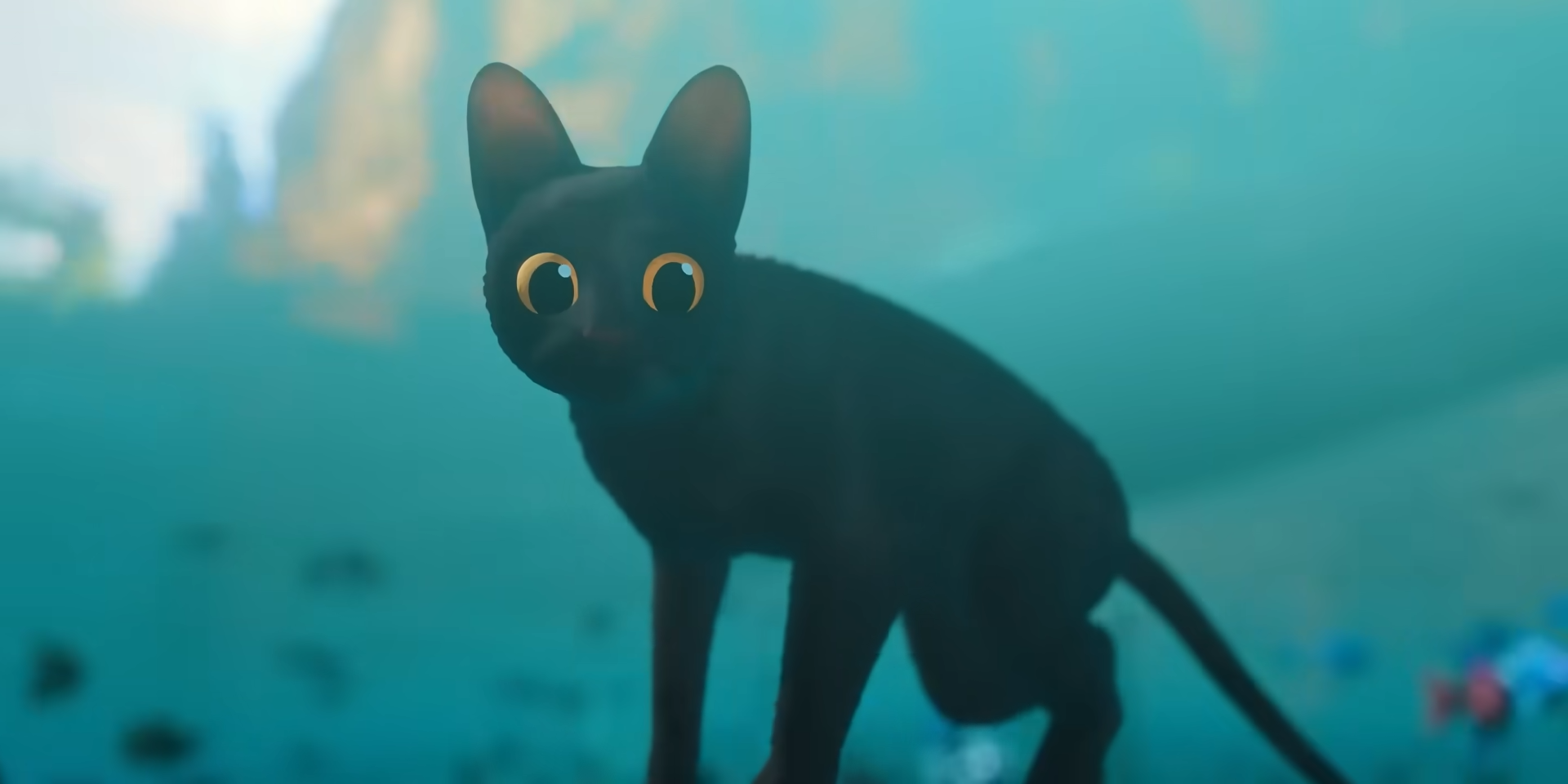 金球獎最佳動畫《喵的奇幻漂流》確認在台上映！全新預告曝 2 月 21 日上映！
