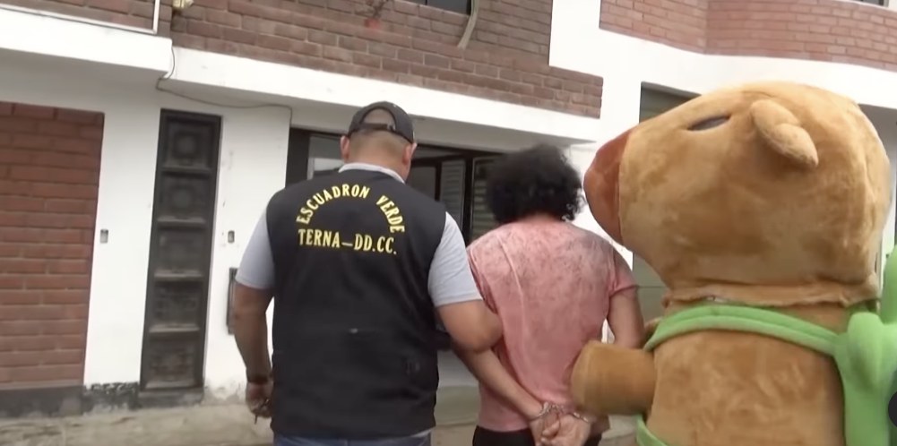 秘魯警察扮水豚抓毒販！超勇猛抓捕畫面曝光！網笑：這水豚的攻擊性太強！